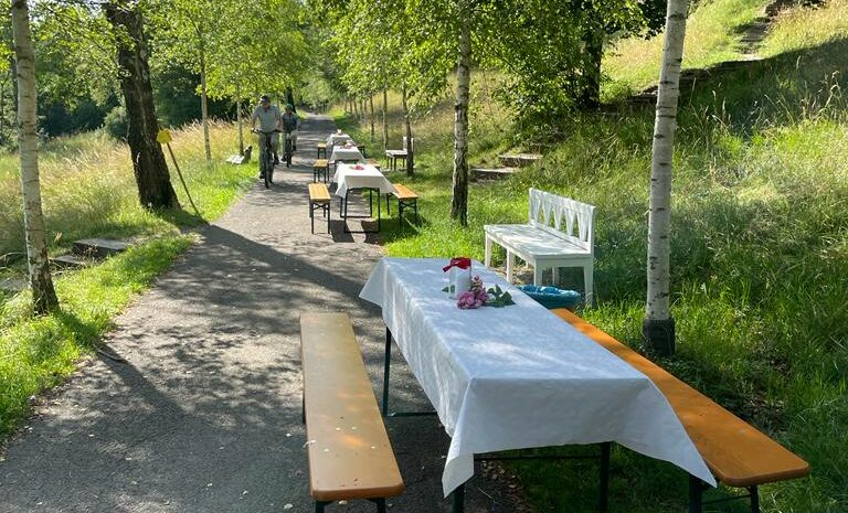Bild zu 'Picknick im Park'